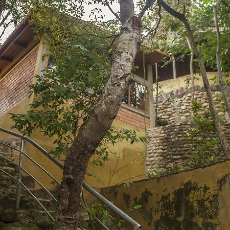 Yacumaman Sanctuary Villa Tarapoto Ngoại thất bức ảnh
