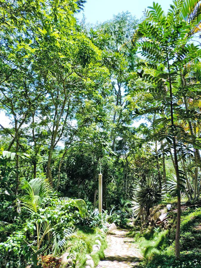 Yacumaman Sanctuary Villa Tarapoto Ngoại thất bức ảnh
