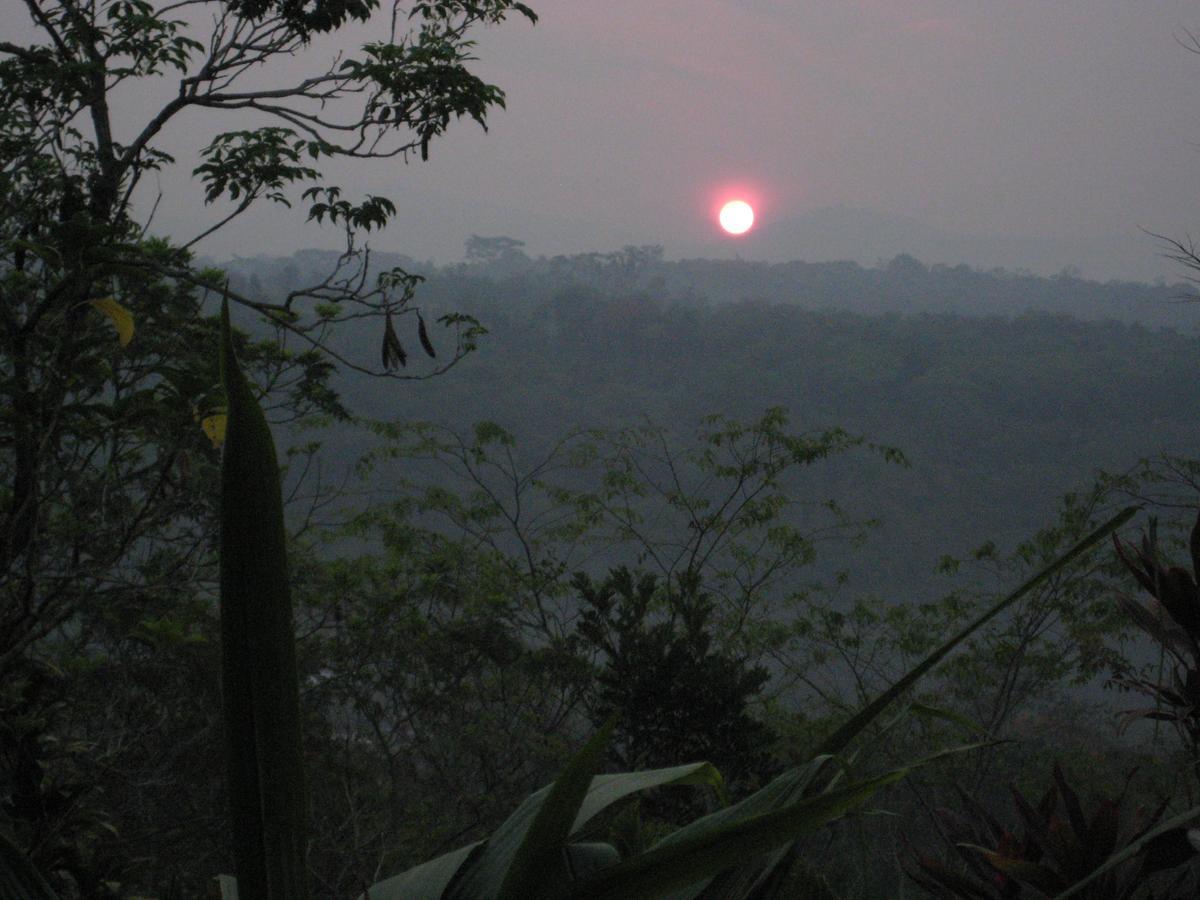Yacumaman Sanctuary Villa Tarapoto Ngoại thất bức ảnh