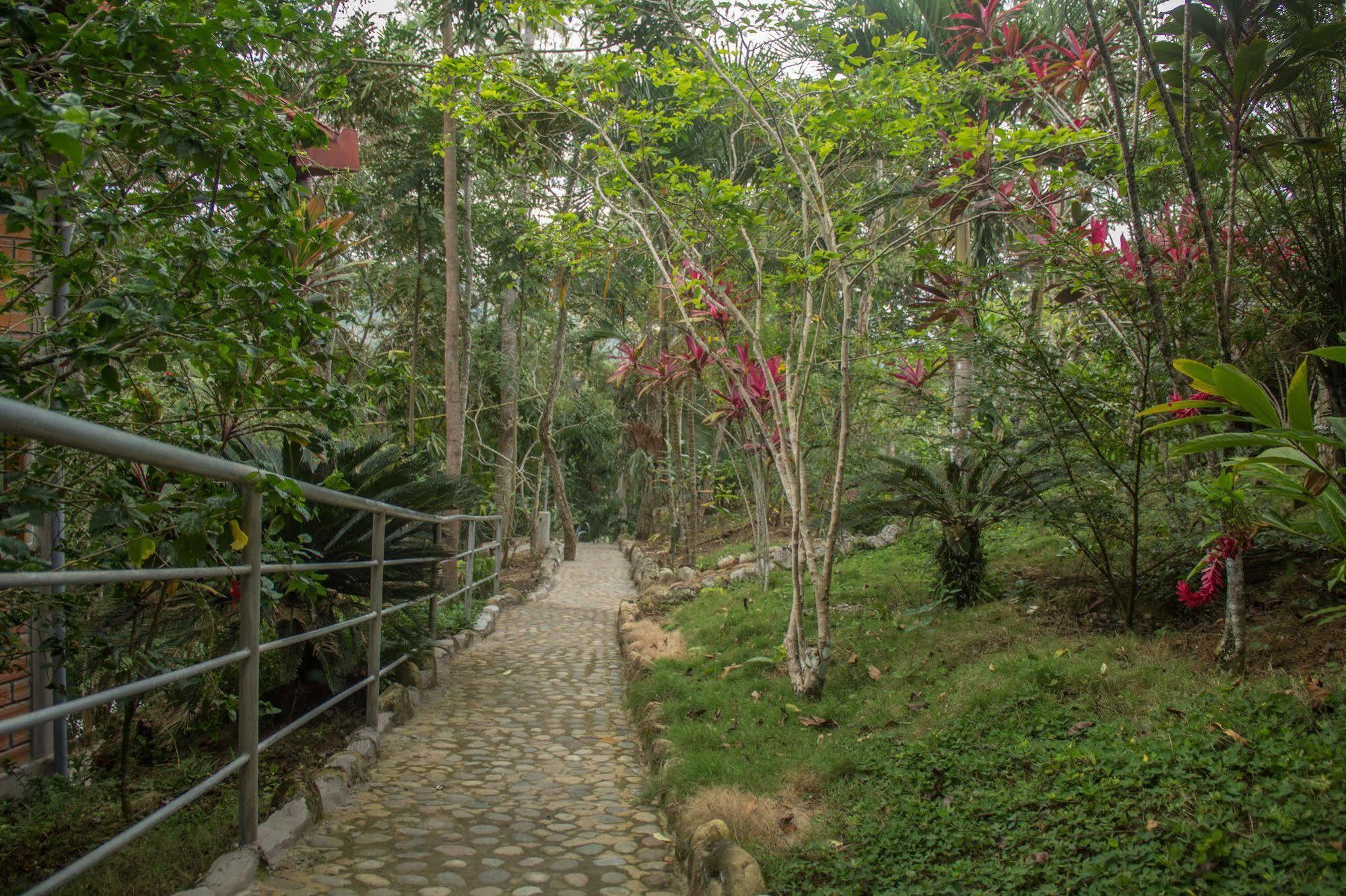 Yacumaman Sanctuary Villa Tarapoto Ngoại thất bức ảnh