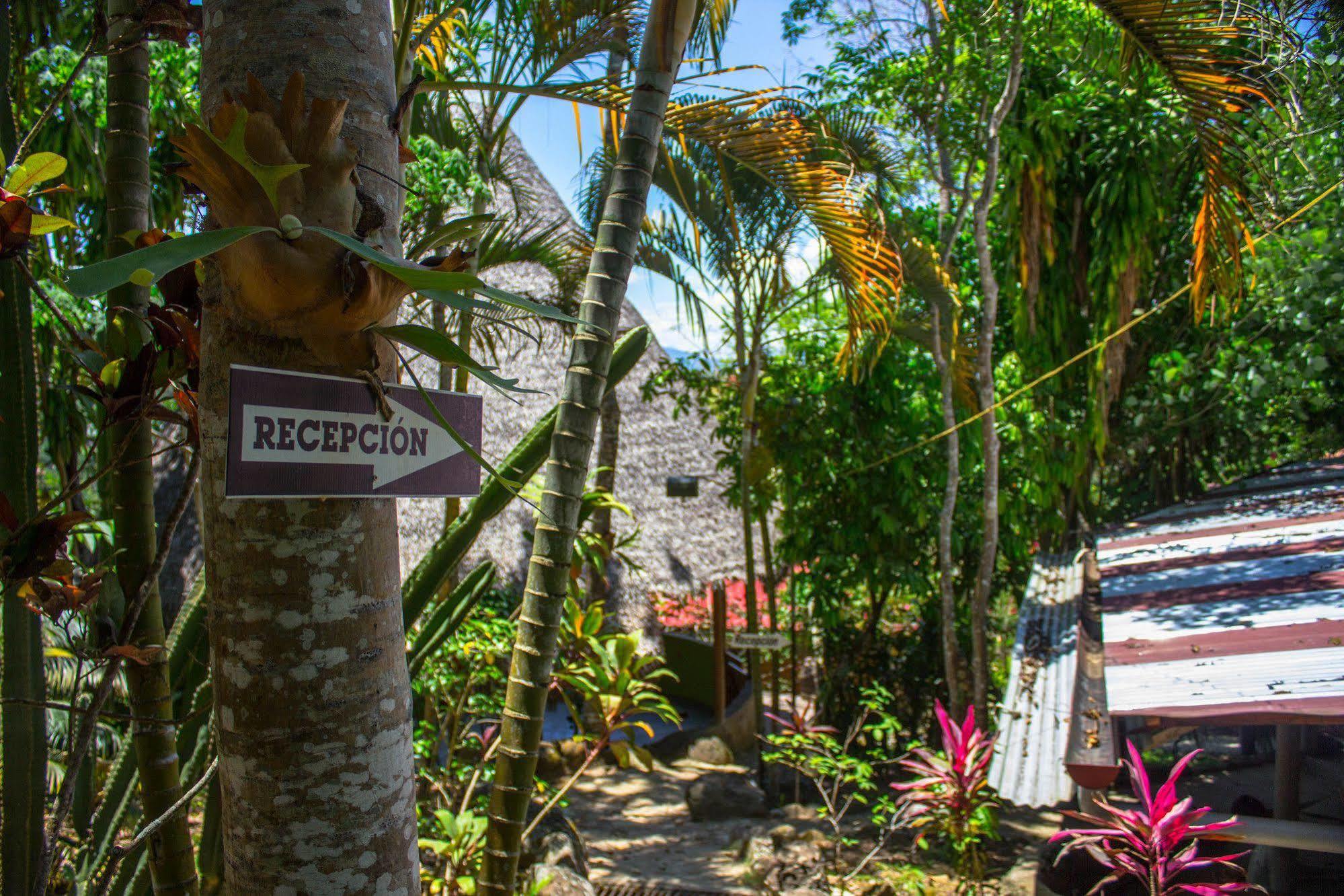 Yacumaman Sanctuary Villa Tarapoto Ngoại thất bức ảnh